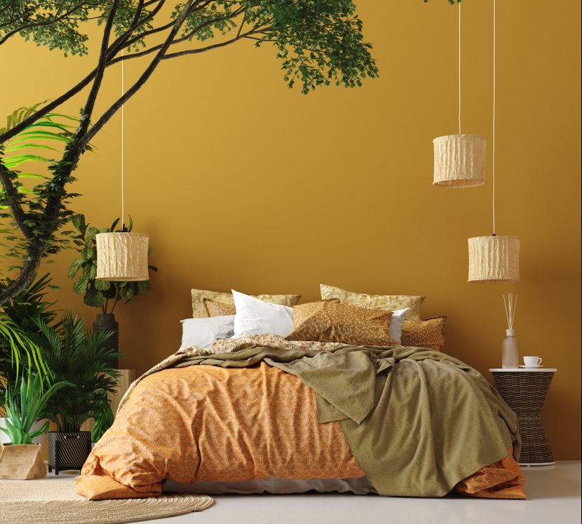 couleur dans la chambre